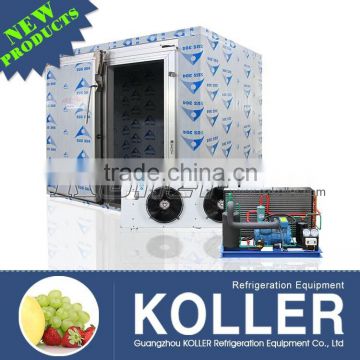 Koller hot sale small Cold Storage Room with intelligent control for fishing VCR20