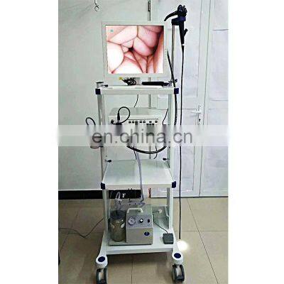 HC-R029 Veterinary Video  Endoscope System With Video Gastroscope and Video Colonoscopy for pet and animal