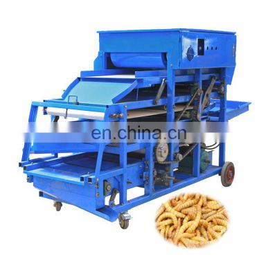 Mealworm Counting Machine Mealworm Selecting Machine Yellow Mealworm Sorting Machine