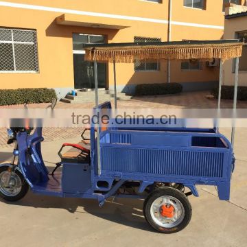 2016 new 850W electric solar tricycle for passenger and cargo48V mini tricycle