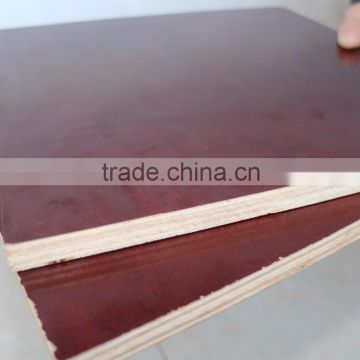 wanda wholesale eucalyptus plywood