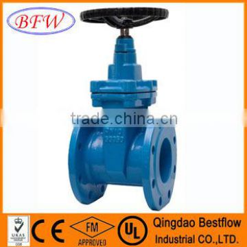 BS 5163 cast iron/ductile iron gate valve