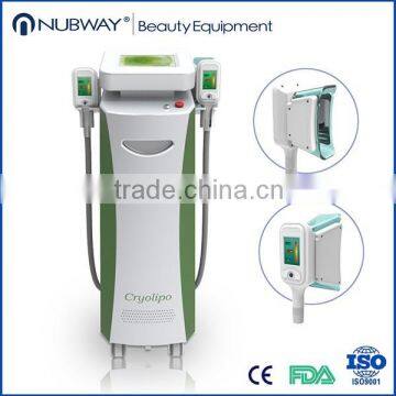 Hot In German !!! Cryo Medical Kryolipolyse Maschine With Euro Medical CE