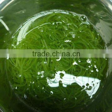 Frozen vegetable-Frozen salted seaweed wakame stem cut