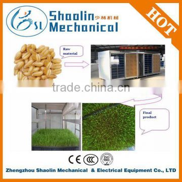 Lowest price bean sprout cleaning machine with best service