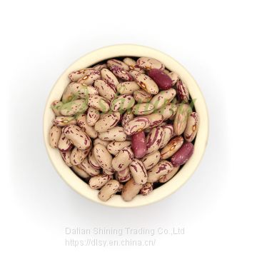Bulk Price Specification Dry Pinto Beans