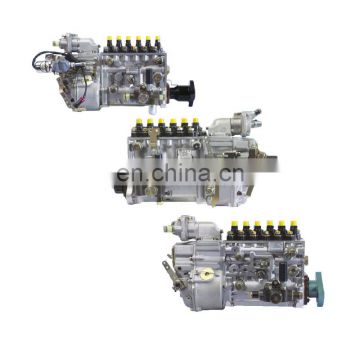 10400014075 diesel engine fuel system pump for Beinei  engine Fier Albania