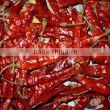 indian dry red chilli