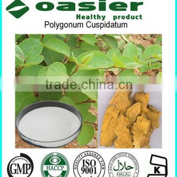 GMP Manufacture Supply Resveratrol Grape Extract