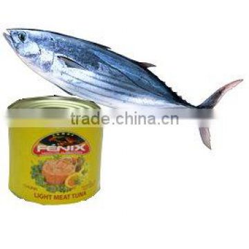 Canned Skipjack Fish