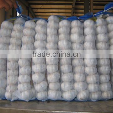 Leading Wholesale Professional Garlic in Small Pack