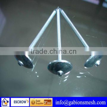 China professional supplier roofing nails with washer(golden supplier)