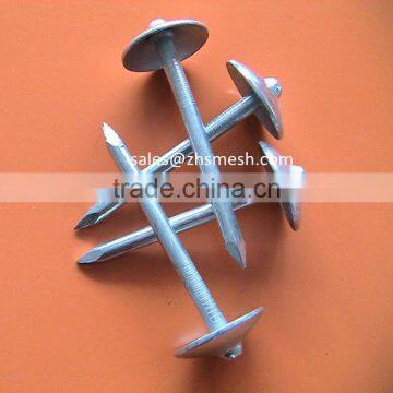 2.5" galvanized umbrella head roofing nails