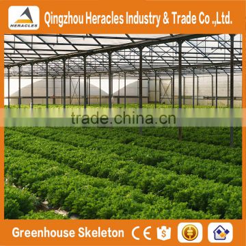 Heracles Versatile multi span poly film Greenhouse for Hydroponic growing systems of NFT and Soilless systems