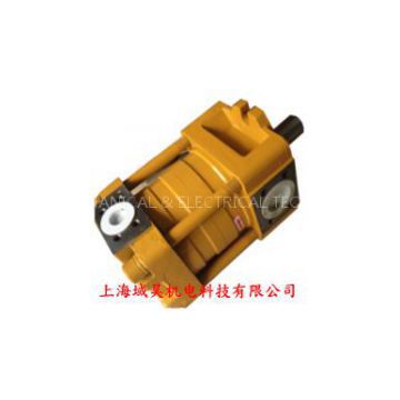 NB5-D100F Internal Gear Pump