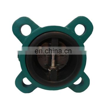 DN50 Check valve Ductile Iron Body