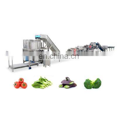 Automatic Vegetable Fruit Processing line fruit vegetable washing cutting blanching machine