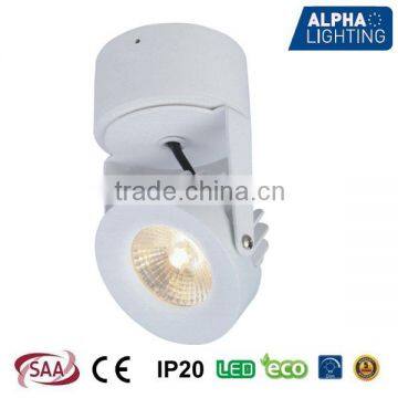 Dimmable Adjustable 10W COB LED Wall Surface Spot Light with HEP driver