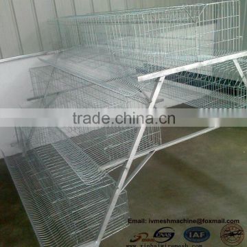 Poultry chicken cage China supplier for Africa Market