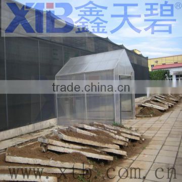 2013 HOT SALE AGRICULTURE GREENHOUSE