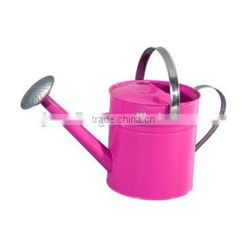 Stainless Steel pink Antirust Unique design Galvanized Metal Flower Pot/ Flower Planter/Watering Can/Planter Shower Pot