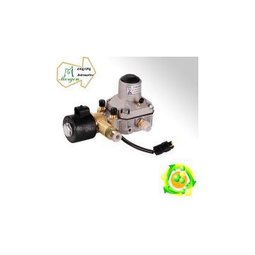 CNG LPG Pressure regulator