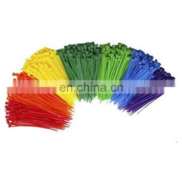 Hampoolhot black and white  2.5*100  High Tensile Strength Colored Nylon Cable Ties