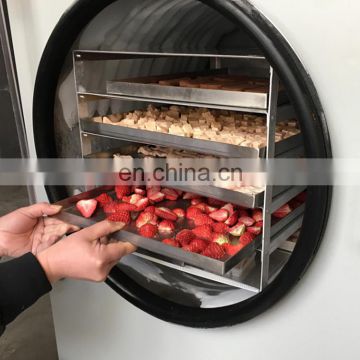high quality Industrial food lyophilization vaccum freeze dryer machine price for sale