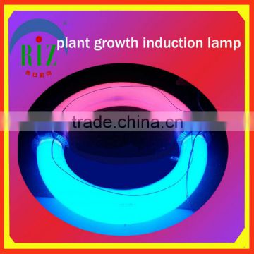 induction lighting for plant growth