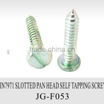 Din7971 slotted pan head self tapping screw
