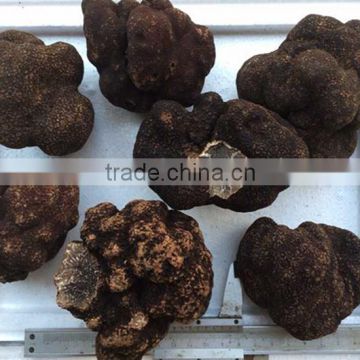fresh truffle sell truffle