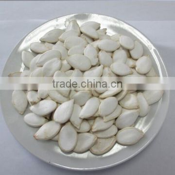 Heilongjiang good price snow white pumpkin seed for middle east