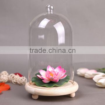 Micro landscape ecological Meaty plant glass with wooden base Ball button
