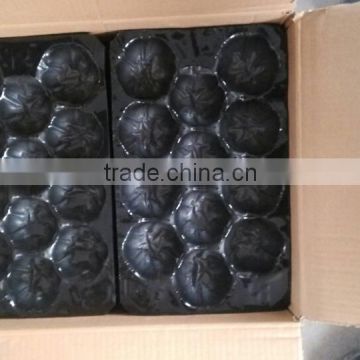 Fresh Produce Packaging Customized Vacuum Forming Disposable Plastic Fruit Cell Tray