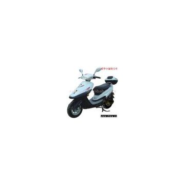 Fuel Motorcycle---Lvhua Small Shark
