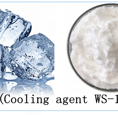 Food USP Grade Cooling agent  Koolada Ws-23  CAS:51115-67-4  N,2,3-Trimethyl-2-isopropylbutamide