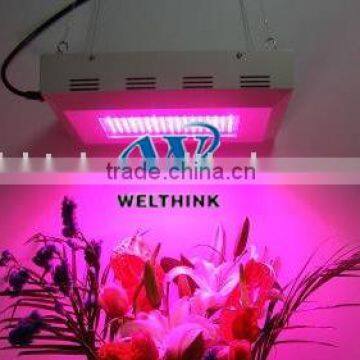 LED panel grow light,LED Grow panel, LED Hydroponics,LED Horticulture,LED Greenhouse Lighting, LED Seeding light,led grow light.