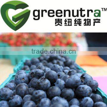 Blueberry extract anthocyanidins