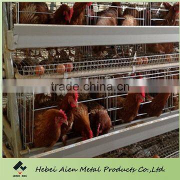 raising brolier chicken cages,fully automatic layer and brolier chicken cage