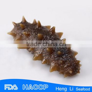HL011 Dried and Frozen Sea Cucumbers Rich nutrition and low fat