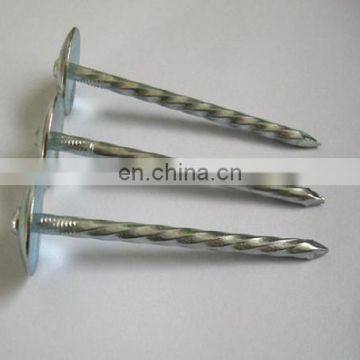 High Quality Galvanized Roofing Nails From China