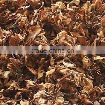 Dried Plumeria, Frangipani, Indonesia