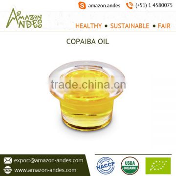 Naturally Extracted Copaiba Oil for Bulk Buyers