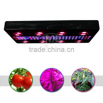 1200W Full Spectrum Indoor Plant,Alibaba Full Spectrum LED Grow Light
