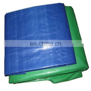 Custom printing pe tarps roll