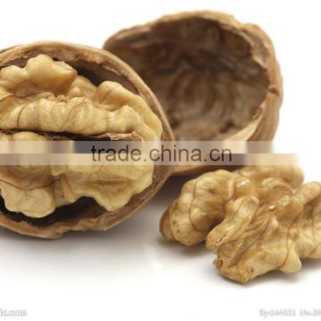Organic Walnuts in shell