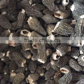 price of black morel mushroom from yunnan