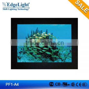 edgelight PF1-A4 Plastic Slim Light Box