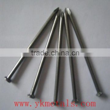 Common Nails Made in China