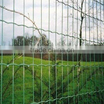 PVC Coated Welded Euro Fence (2''X2'')(THE REAL FACTORY)